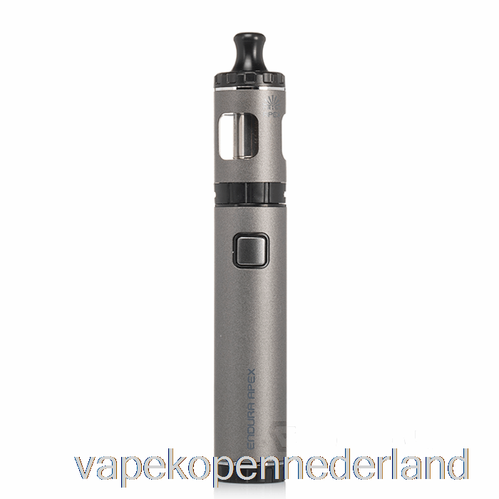Elektronische Sigaret Vape Innokin Endura Apex Starterkit Grijs